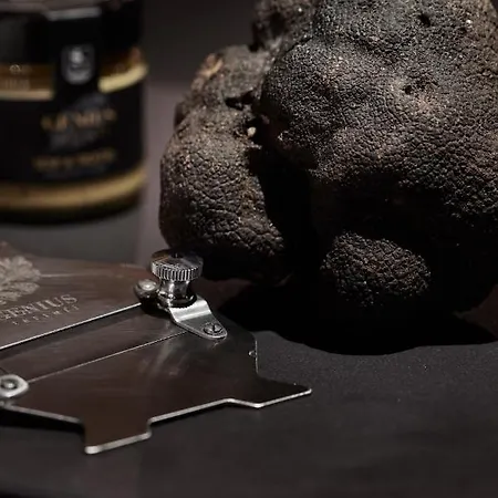 Top Hotel Hochgurgl 5*