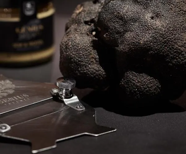 Top Hotel Hochgurgl 5*